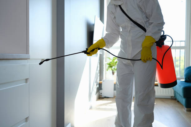 Best Residential Mold Removal  in Mount Airy, MD